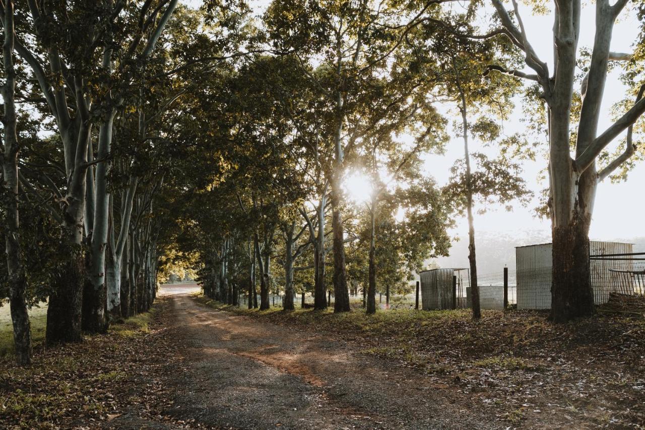 Blackwattle Farm Beerwah Esterno foto