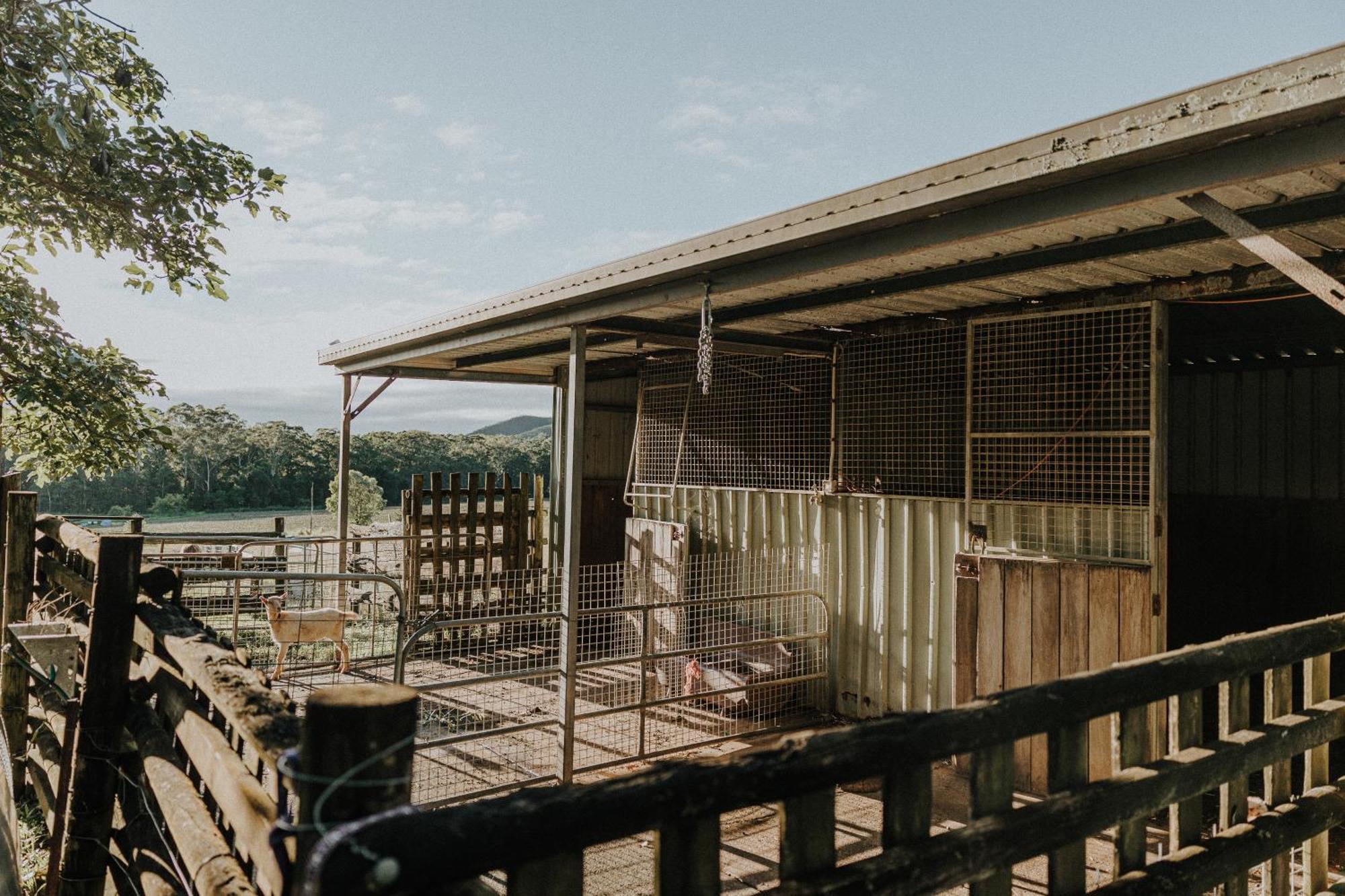 Blackwattle Farm Beerwah Esterno foto